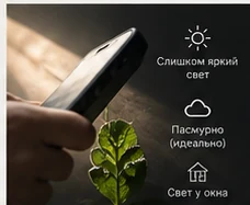 Найдите хороший свет